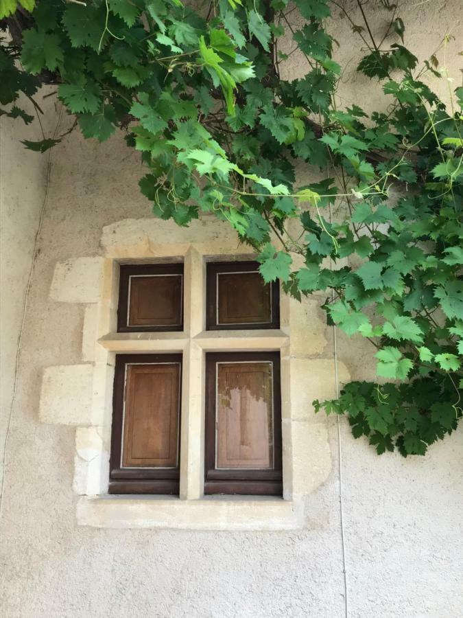 Le Manoir De Pierre Levee, The Originals Collection Hotel Tournon-Saint-Martin Bagian luar foto