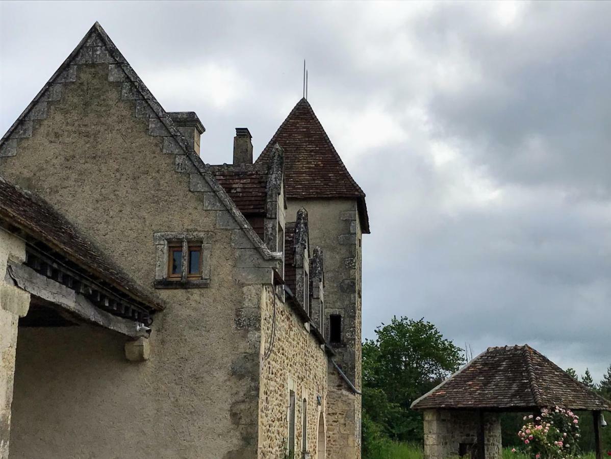 Le Manoir De Pierre Levee, The Originals Collection Hotel Tournon-Saint-Martin Bagian luar foto
