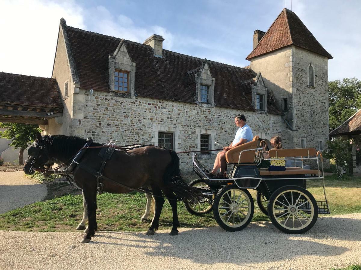 Le Manoir De Pierre Levee, The Originals Collection Hotel Tournon-Saint-Martin Bagian luar foto